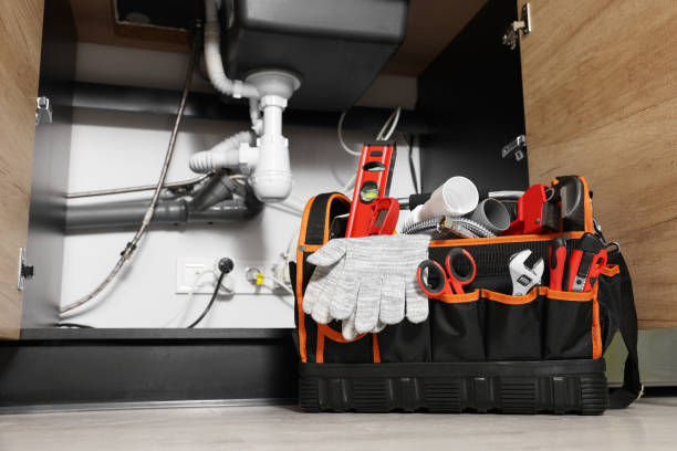 Best Clogged Drain Plumber  in Cameron, WI