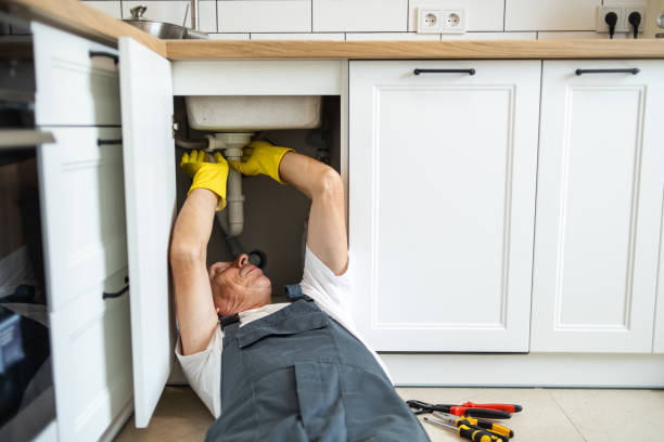 Best Plumbing Services Near Me  in Cameron, WI